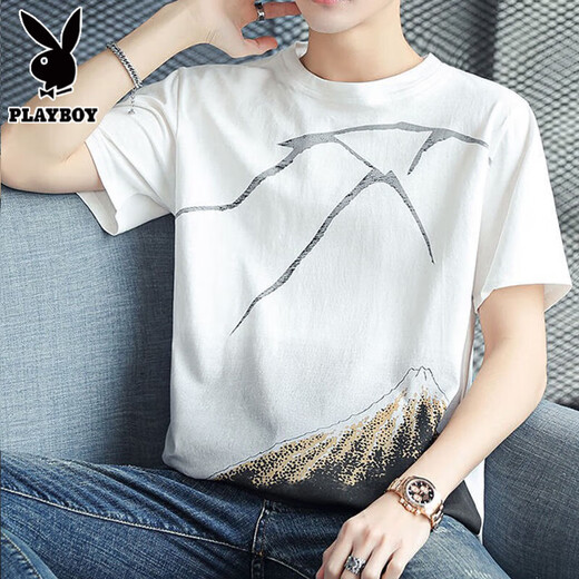 花花公子（PLAYBOY）纯棉短袖t恤男士2025新款半袖体恤衫宽松潮流夏季男装上衣服 Z829灰色 XL 【建议128-143斤】