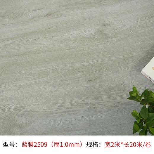 财发地毯地板革PVC塑胶地板胶出租屋活动板房水泥地直接铺工程商用地板革 蓝膜2601(宽2米*长20米整卷)