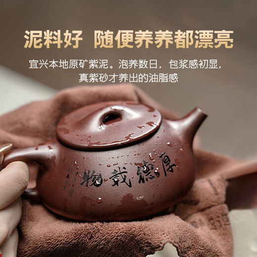 Guyuetang Yixing Purple Clay Pot Purely Handmade Famous Household Purple Clay Engraved Stone Scoop Teapot Tea Set Engraved Style-Single Pot 240ml