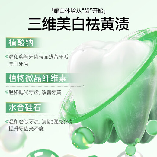 ORGINESE Zahnaufhellungspulver, frischer Atem, Zahnputzpulver, Zahnfleischpflege, Aufhellung, Limettenduft, probiotisches Enzym, Zahnpastapulver