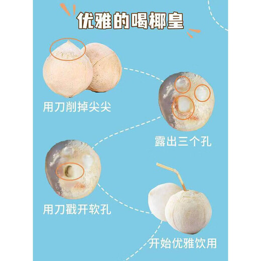 SF Thai Coconut King, freshly imported coconuts, fresh seasonal fruits, 5 pieces, each about 400g