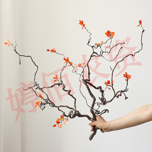 Dragon jujube branches branches Zen wabi-sabi air-dried flowers vase flower arrangement living room hotel model room decoration ornaments maple leaf dragon jujube branches 2 short branches random shape 40-55cm