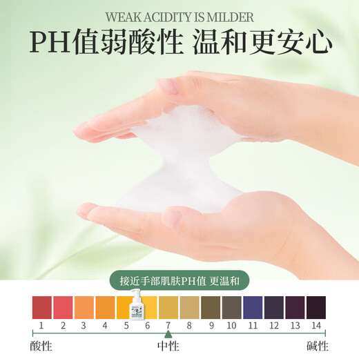 Vegetable Garden Tea Scented Bubble Hand Sanitizer Foam Hand Sanitizer Moisturizing Cleansing Hand Sanitizer Universal for children and adults Taste Pack Tea Scented Bubble Hand Sanitizer 300ml