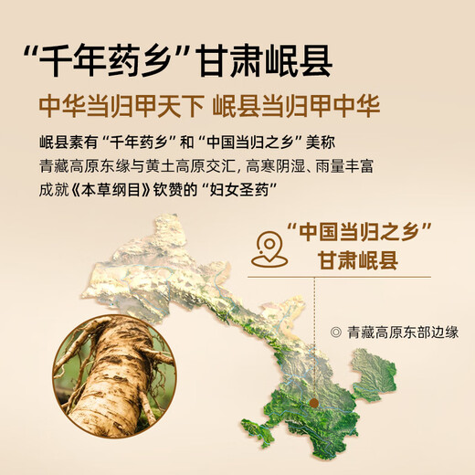 同仁堂（TRT）当归 精选甘肃原产当归切片搭黄芪枸杞泡水煲粥养生茶80g