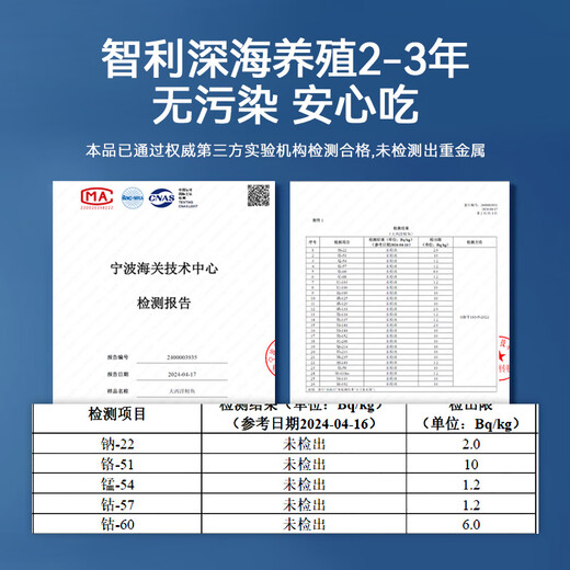 Meiwei Chilean Frozen Original Salmon Steak Net Weight 240g/4 Pieces Atlantic Salmon Seafood Aquatic Fish