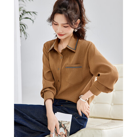 TERRE BLEUE temperament fashionable women's shirt 2025 spring and autumn new design sense daily commuting versatile slimming shirt for women