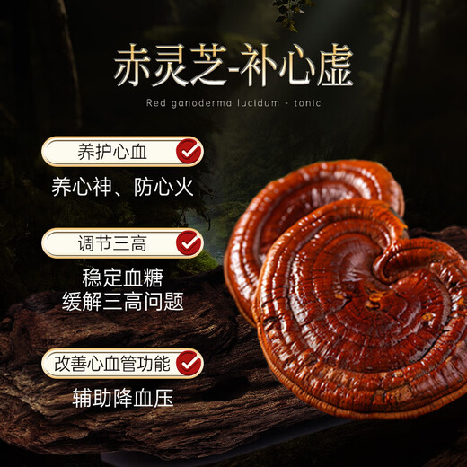 
WILAKON/Weilekang Blambi Ganoderma Spore Powder Capsules Enhance Immunity Postoperative Radiation and Chemotherapy for Middle-aged and Elderly Nutritional Products 360 Tablets/Box