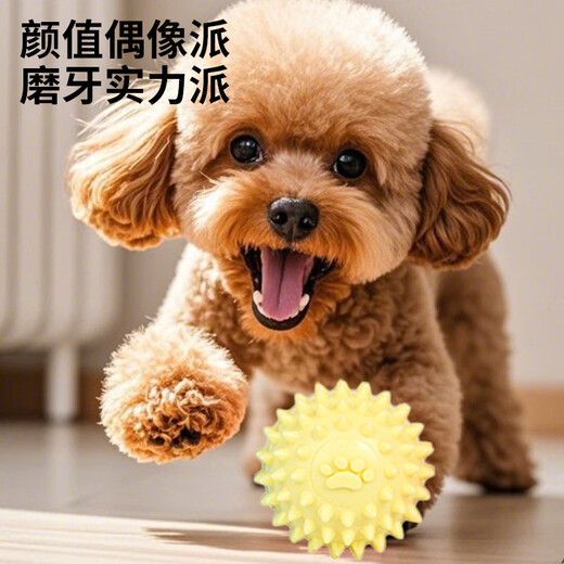 ZanChong Macaron Dog Toy 4-piece Set Teething Resistance and Bite Resistance Universal Dog Training Interactive Self-Enjoyment and Boredom Relief TPR Rubber Ball