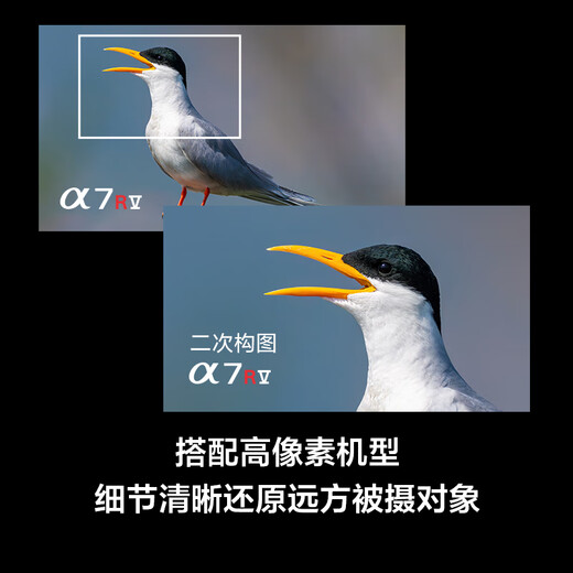 Sony (SONY) full-frame telephoto telephoto landscape/bird shooting super telephoto lens FE400-800mmF6.3-8G OSS SEL400800G