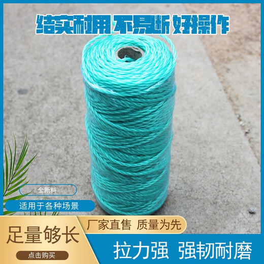 农用吊蔓绳吊秧绳大棚塑料绳子黄瓜豆角西红柿蔬菜吊绳园艺爬藤线 30股【黄瓜类适用】690米