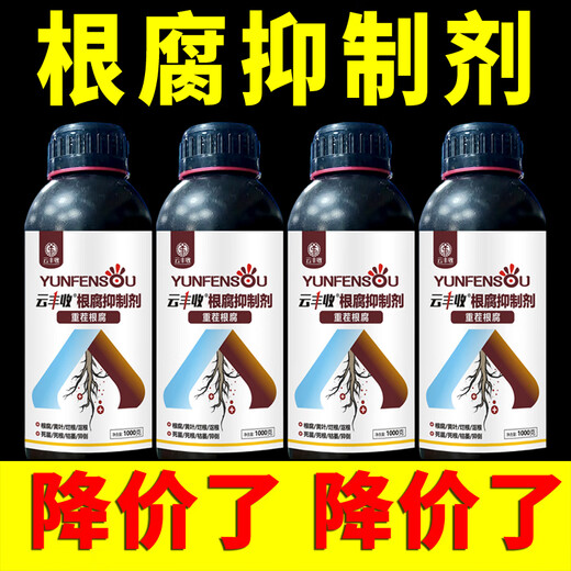 Yunfeng Harvest Root Rot Inhibitor Root Rot Nemesis Yellow Leaf Rot Root Damping-Down Dead Tree Stem Base Rot Strong Root Activation Soil Factory Direct Sales 2 Bottles * 2000g + Measuring Cup + Get 10% off for fake ones