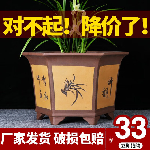 Yixing Purple Clay Orchid Pot Succulent Tree Old Pile Cliff Bonsai Pot Bureau Green Plant Céramique Flower Pot 693 Small
