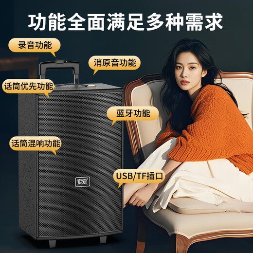 Sony Ericsson (soaiy) 8-inch square dance audio wooden high-power portable outdoor heavy bass Bluetooth karaoke special high-volume mobile trolley speaker outdoor performance dual microphone SA-X21