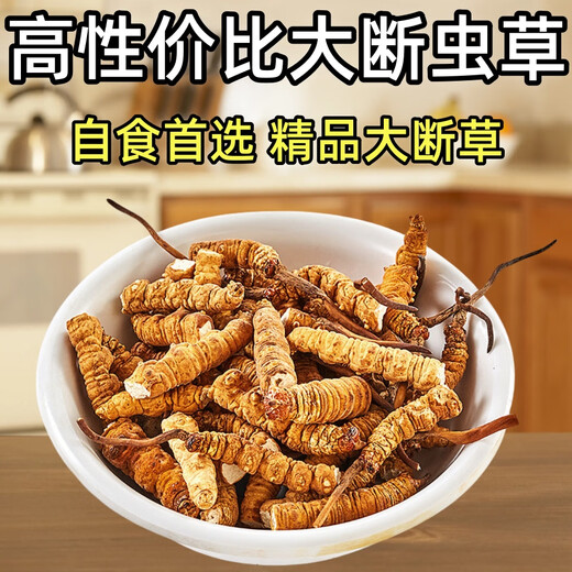 冬虫夏草大断草藏区精品断虫草自食优惠当天发货2025头期断虫草 藏区精品大断草10克装