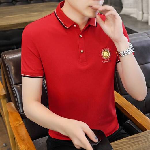 FJLT轻奢高档品牌polo衫男士T恤夏季新款时尚短袖翻领商务透气上衣 F6628（白色） XL (建议130-145斤)