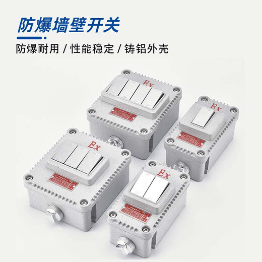 VRK explosion-proof switch lighting waterproof 220V10A outdoor exposed and concealed one open dual control single control