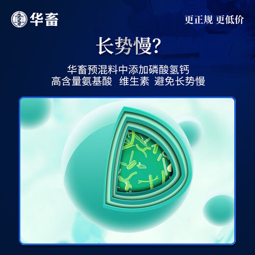 Huazhu 4% beef cattle feed and mutton sheep compound premix, sheep feed and cattle special fattening feed additive, ewe, lamb and calf open feed 40Jin, Jin is equal to 0.5kg/bag, milk powder formula