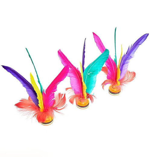 Decathlon Basic Shaping/Pilates Durable and Compact Youth Natural Goose Feather Shuttlecock Color 520669 One Size