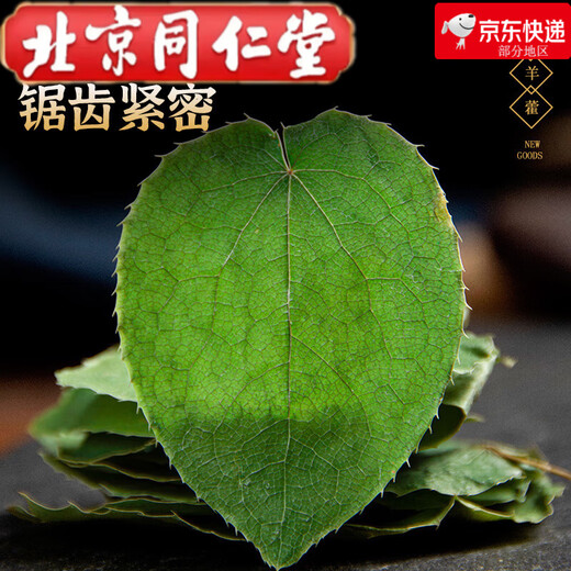 Peking Tongrentang Gansu kleines Blatt-Epimedium Chinesische medizinische Materialien, die in Wein in tiefen Bergen, drei Zweigen und neun-Blatt-Gras-Schäferhäusern, wilde kleine Blatt-Epimedium-Blätter eingeweicht wurden [50 g]