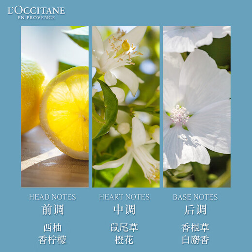 L OCCITANE Shea Butter Classic Hand Cream Autumn and Winter Moisturizing Hand Cream for Men and Women Birthday Gift Souvenir Small Beauty Box Afternoon Citrus Hand Cream 10ml*2 pieces