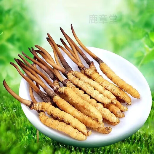 礼盒冬虫夏草礼盒虫草2根1克干货冬虫草送礼滋补精品礼盒装 西藏那曲断草10克送1克发11克