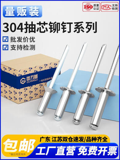 Guwanji Guwanji 304 Core en acier inoxydable Puriage Rivet Tirling Rivet Round Head Tiling Nails Slurry Head Tiling Nails Heart Tiling Decoration Nails Willow Nails 304 Contource