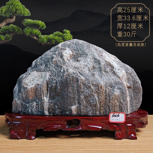
Three-aqua Tiger fidelity Taishan stone natural raw stone Taishan stone dare to be the indoor living room corner office Yang stone backing 15921 backing