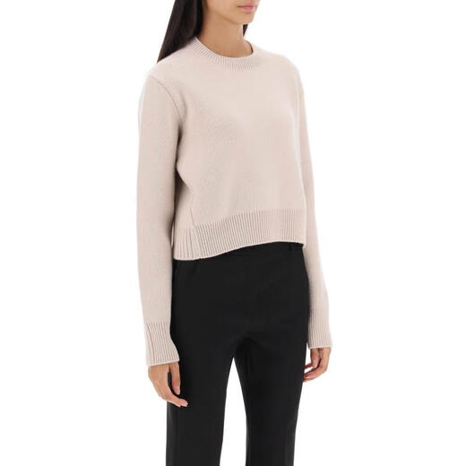 Lanvin Damen Cashmere Round Hals Stricker Sweater Langarm Ripper Slim Fit Sogile Herbst- und Winterstil Pink One Size S s