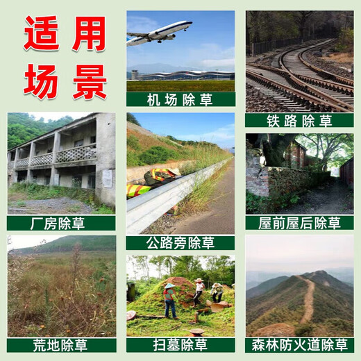 Eastern Sichuan pesticide cyclazinone weed removal, large trees, bamboos, shrubs, rotten roots and dead roots special pesticide herbicide 500g*5 bags