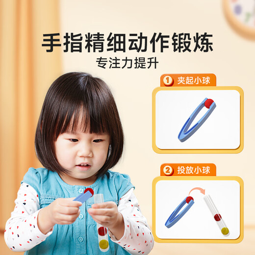 Time Optics (Shiguangxue) Educación temprana enchufe para el cabello SIDA Toyes para niños Montessori Educación temprana Color cognitivo y regalos de cumpleaños de niños y niñas