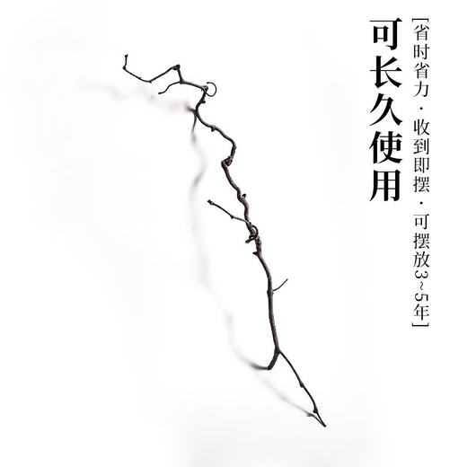 咏幻龙枣干枝树枝树干装饰弯曲龙爪插花干枝侘寂艺术风干禅意干花 天然龙枣枝15885cm 一物一拍 干树枝