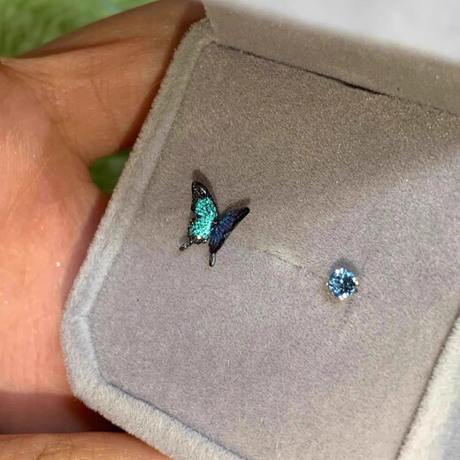 Core luxury blue butterfly earrings for girls, light luxury, high-end niche design, high-end, clear and simple, mini exquisite earrings for women, blue butterfly