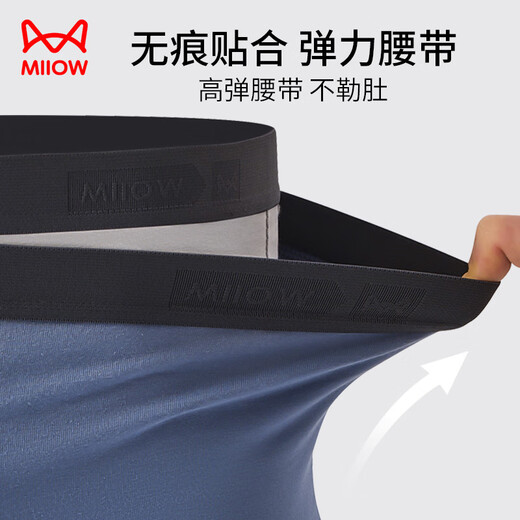 Katze Herren Unterwäsche Herren reines Baumwoll Samt Baumwoll hoher Gehalt Mulberry Seiden Antibakterieller Schrittboxer Shorts 4 2xl