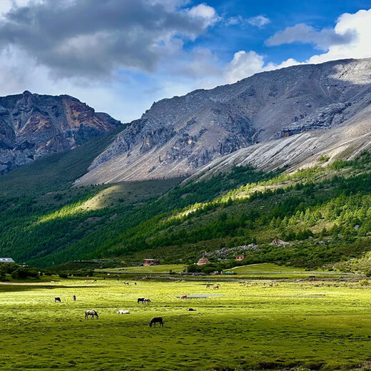 Tibetan travel photography 2-8 people pure fun group Daocheng Yading Lenggacuo 7-day tour to Siguniang Mountain Yuzi Xigunong Village Moshi Litang West Sichuan tour 7 days 6 nights pure fun group Deluxe-8 people group October 8th - December 1st Children