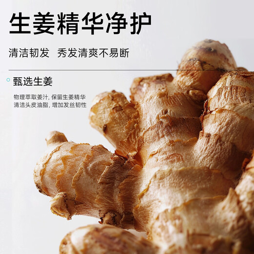 Flash [Big Brand Trial] ventilateur Chengcheng même shampooing polypeptide ginger empêche l'échantillon de shampooing de réparation de réparation d'huile capillaire