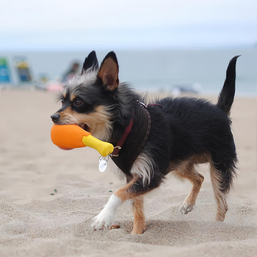 Dog sounding toy pet chicken leg toy sounding small and medium-sized dog bone chicken leg dog molar toy bite-resistant sounding chicken leg 1 piece No Specifications