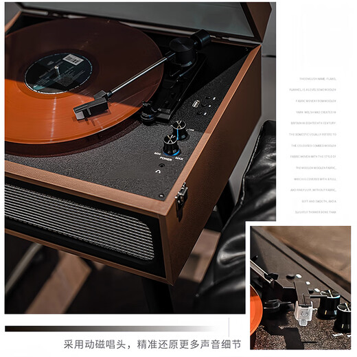 
ROBERILLINE Vintage Vinyl Recorder Gramophone Audio Living Room Decoration Vintage Recorder MM Dynamic Magnetic Speaker Elegant Black