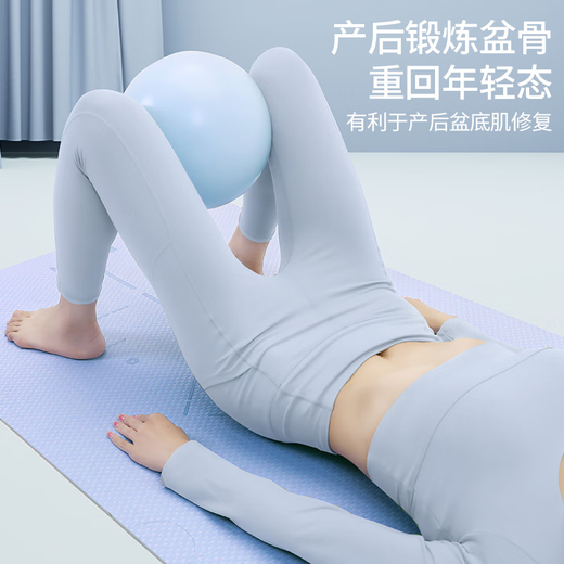 PROIRON yoga ball Pilates 25cm small ball for adults, pregnant women, children and infants, thickened explosion-proof balance ball powder