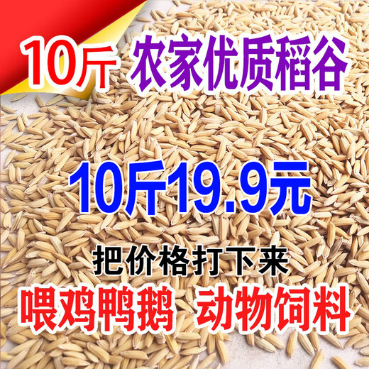 10 Jin Jin is equal to 0.5 kg. Hulled rice, millet, rice, cereal grains, rice for chickens, ducks, geese, pigeons, hamsters, pet feed. Farm rice 10 Jin Jin is equal to 0.5 kg (no purchase limit)