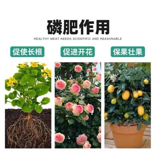 Yuntianhua Phosphate Fertilizer Flower Superphosphate Flower Fertilizer Vegetable Fertilizer Root Strengthening Fertilizer Adjusting Soil Fertilizer Chemical Fertilizer Vegetable Agricultural Fertilizer Phosphate Fertilizer Granules 5Jin Jin is equal to 0.5 kg