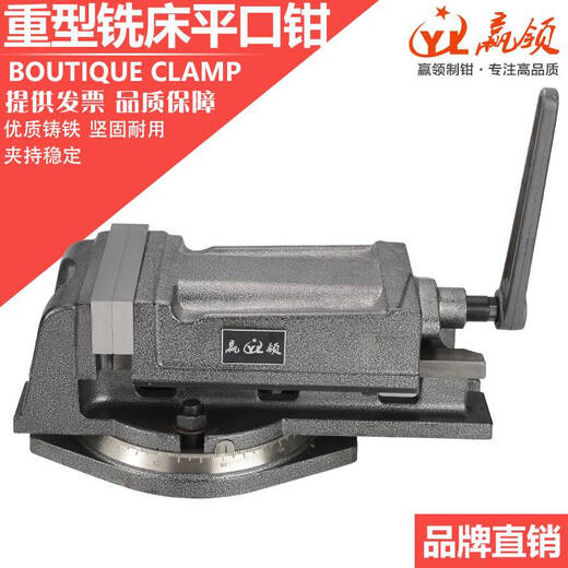 语森忆QH重型铣床机用平口钳钻床精密角固式台钳4寸5寸6寸8寸 Q12250(高精美式)