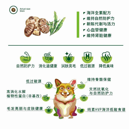 OIMGVegepet Vegetarian Grain-Free Universal Functional Dog Food Dog Food Vegetarian Food Teddy Corgi Bichon Oil Control Seaweed 1 Point 5Kg