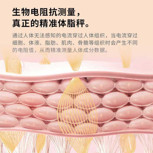 【已接入米家APP】电子秤智能体脂秤体重秤家用宿舍用精准充电体重秤减肥必备 【电池款】米家联动体脂秤-白色