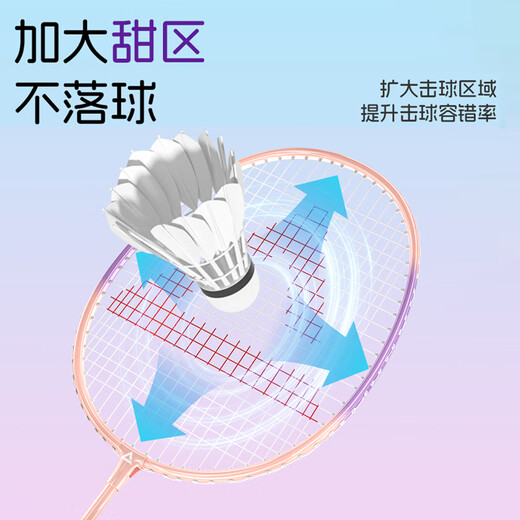 Raquette de badminton PEAK, ultra-légère, équilibre offensif et défensif, raquette d'entraînement pour étudiant adulte, résistante aux coups, alliage d'aluminium pour débutants, anti-casse, résistante aux coups, violet et vert, 6 balles gratuites, 2 colles à main, ensemble de raquettes de badminton