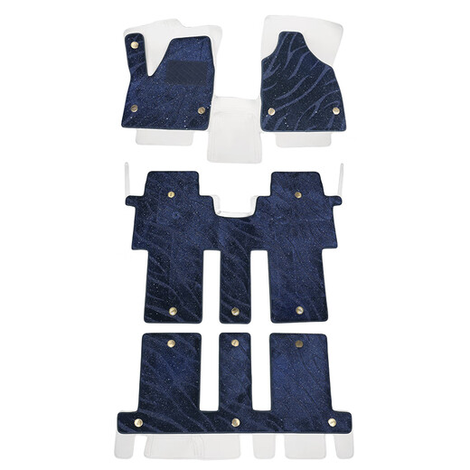 Taoni Bear eignet sich für Buick GL8 Lu Shang Foot Pad 25 Neues GL8 Special New Energy Plug-Mixed Volles umgebendes Leder in der Mittelreihe mit mittlerer Reihe + mittlere Reihe + Drei-Reihen-Doppelschicht-Weißbilde + Blau Buick GL8 New Energy 25-25 (3899 Exklusiv 4