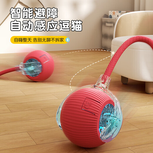 [JD Express] Juguetes CAT Cat Smart Cat Balls se autoexcitan y alivian. El gatito evita automáticamente las bolas eléctricas. Bolas de gato inteligentes rojos + palitos de gato de plumas de alambre.
