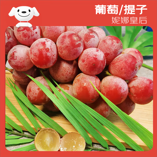Jingxiansheng Queen Nina Grape Super Seedless Red Lift 1Jin[Jin equals 0.5 kg] Pack Fresh Fruit