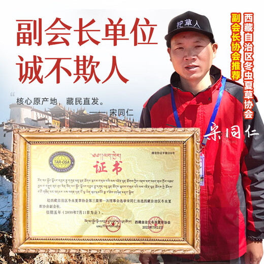 挖草人【西藏那曲】野生冬虫夏草 中老年人养生滋补品 虫草高档年货礼品 三级草[4根1克] 5克