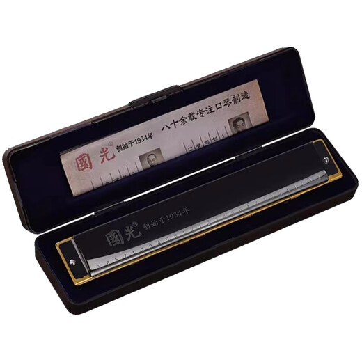 Guoguang harmonica 28-hole accent advanced performance German imported gong polyphonic C-tune beginner instrument 28-hole polyphonic silver + learning materials [with phonetic symbol