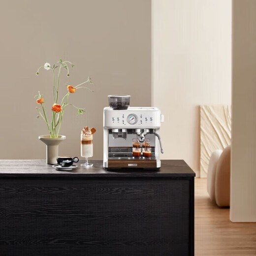 Petrus PE3899 Volles semi-automatischer Kaffeemaschine Milchschaum-Maschine Doppelgriff Haushalte kleine italienische Schleifmaschine